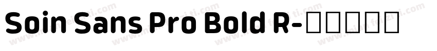 Soin Sans Pro Bold R字体转换